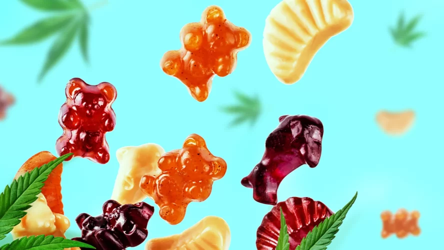 Delta 8 Gummies: Future of Cannabis