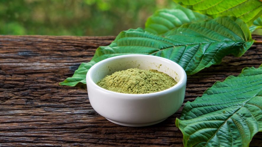 What Should You Know About Kratom?